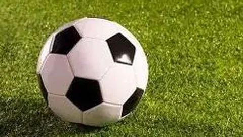 开云体育登录 资讯 104149 kt0