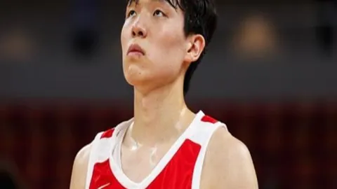 开云体育登录 145446 9