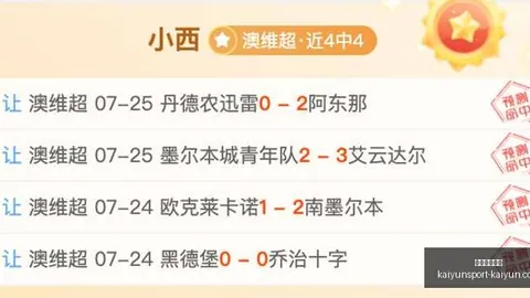 开云体育登录 154626 4
